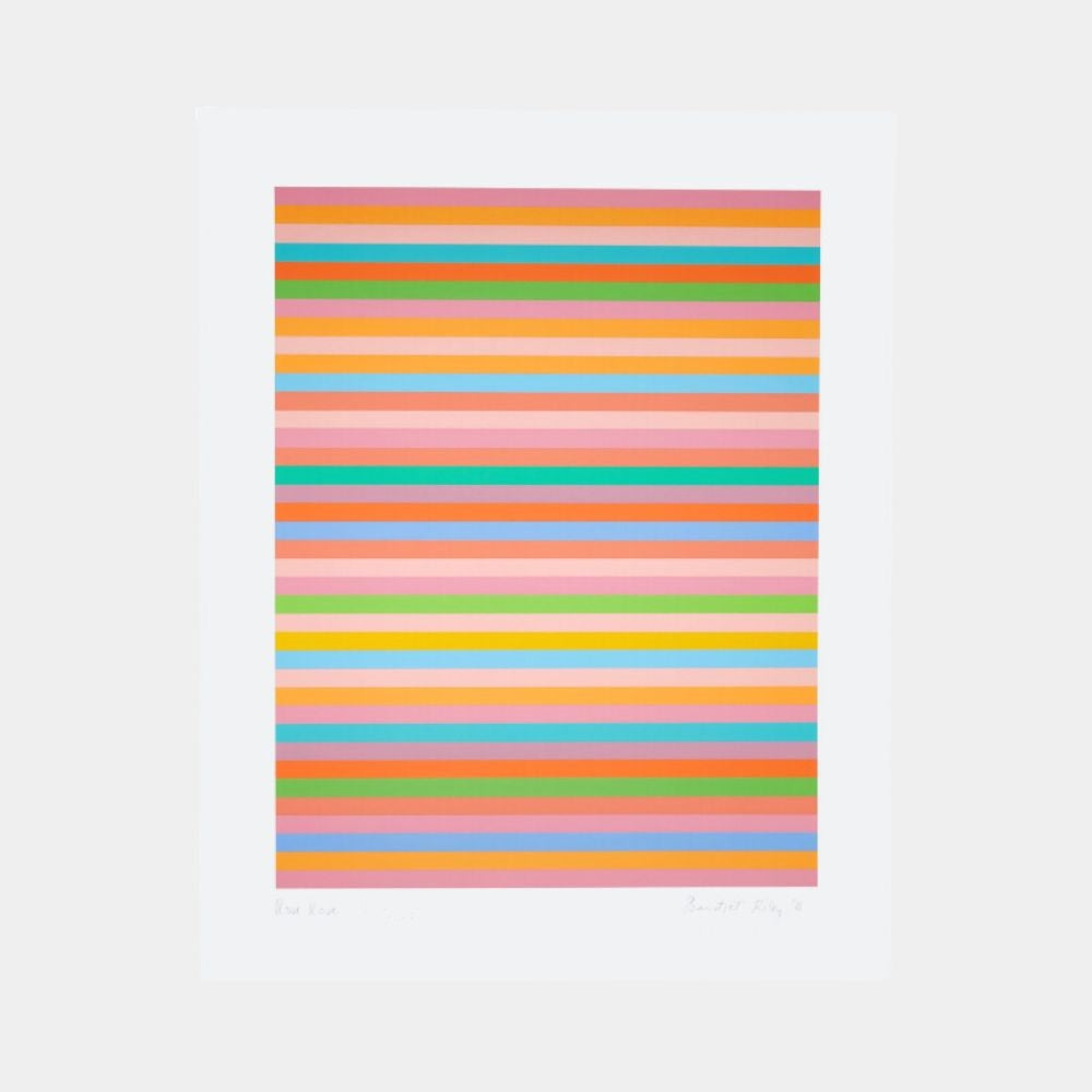 Bridget Riley, Rose Rose, 2011